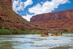 Colorado River Rafting